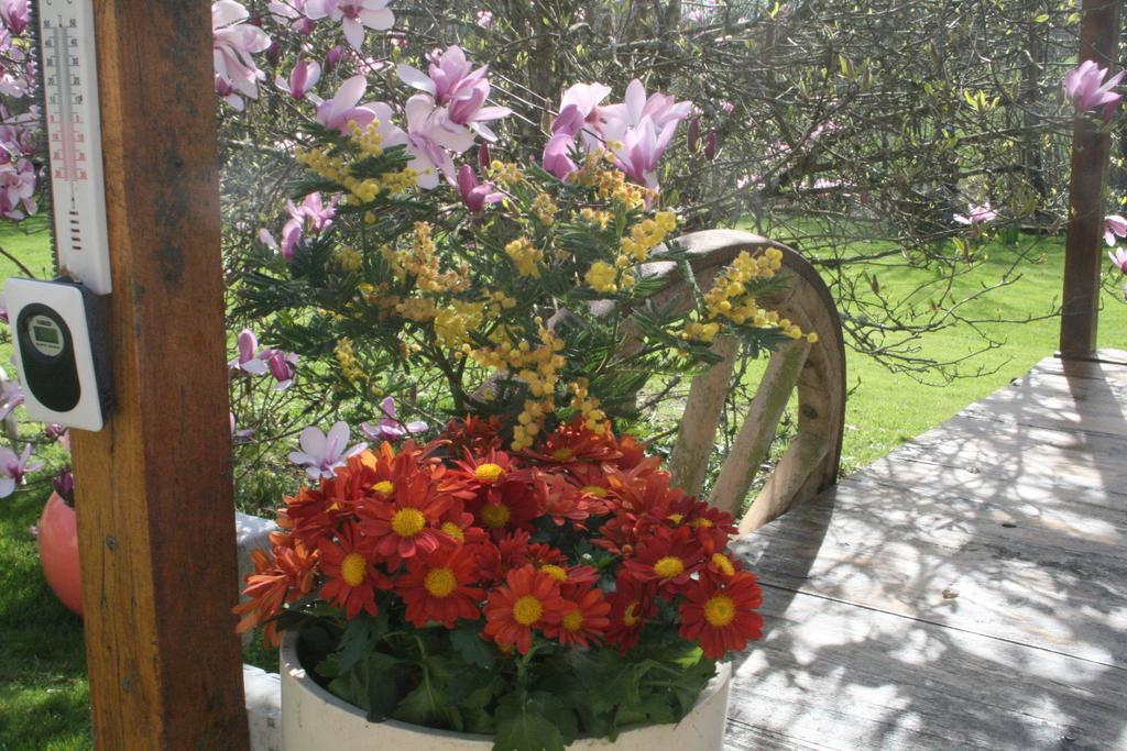 Le Moulin De Douzy Bed & Breakfast Saint-Christophe  Exterior photo